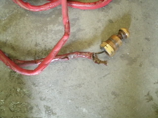 GEDC1031.JPG