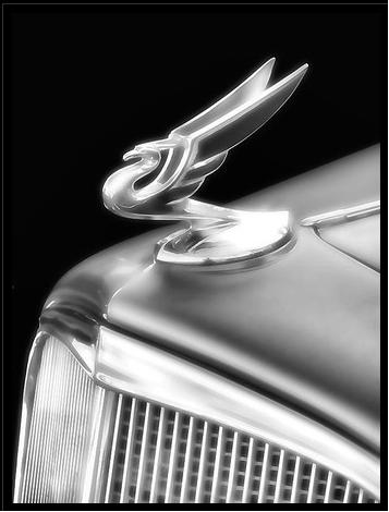 hood ornament 1934 chevy.jpg